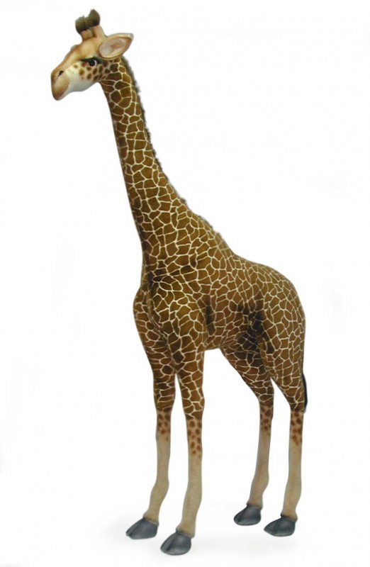 hansa giraffe