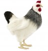 Hansa 5034 Игрушка мягкая Курица французской породы, 38 см
