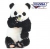 Hansa 6864    , 34 