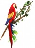 Hansa 3067 Игрушка мягкая Попугай Ара красный, 72 см
