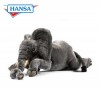 Hansa 5488    , 54 